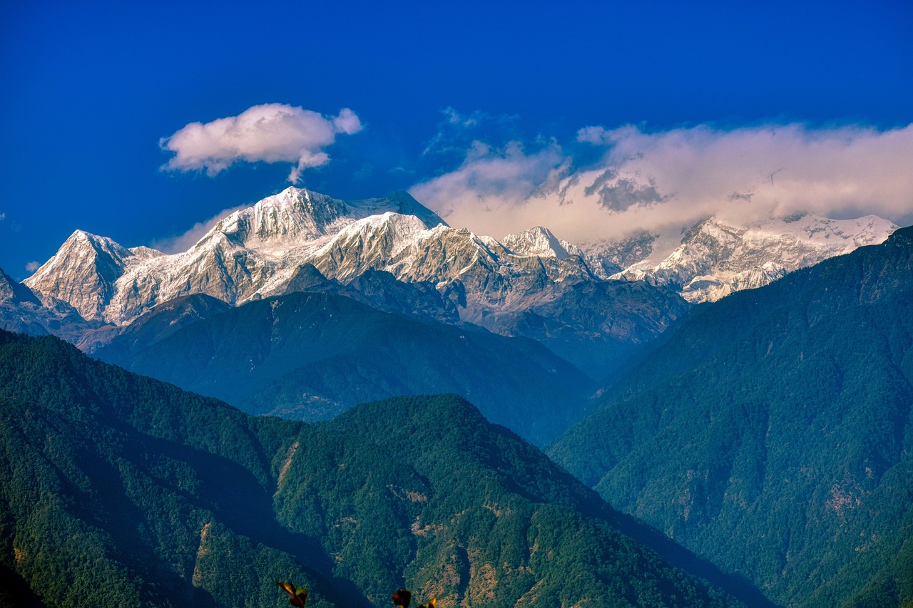 Is Leading Sikkim Casino License Legal in India? Complete 2027 Guide
